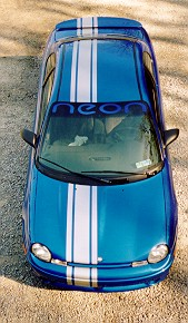 Single Rally Stripe